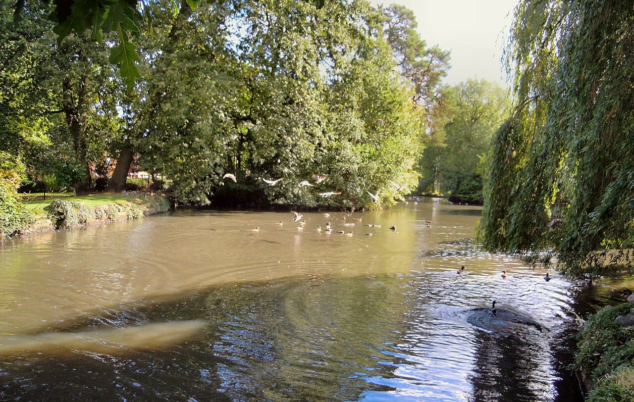 The duck pond in Manor Park, Aldershot