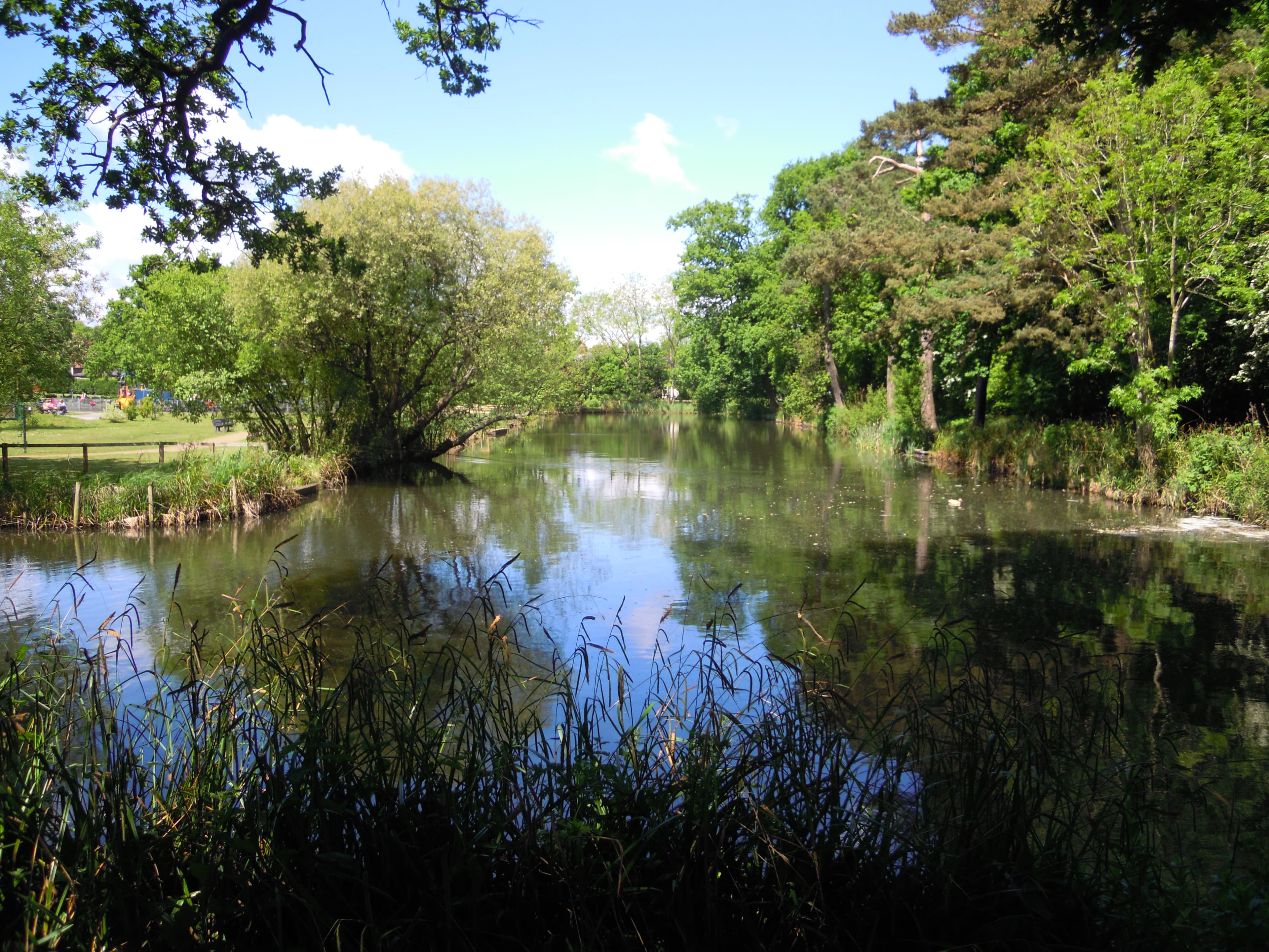 Aldershot Park Lake